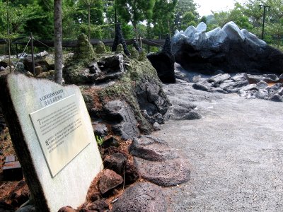 Singapore Botanic Gardens, Evolution Garden 18, Sep 06