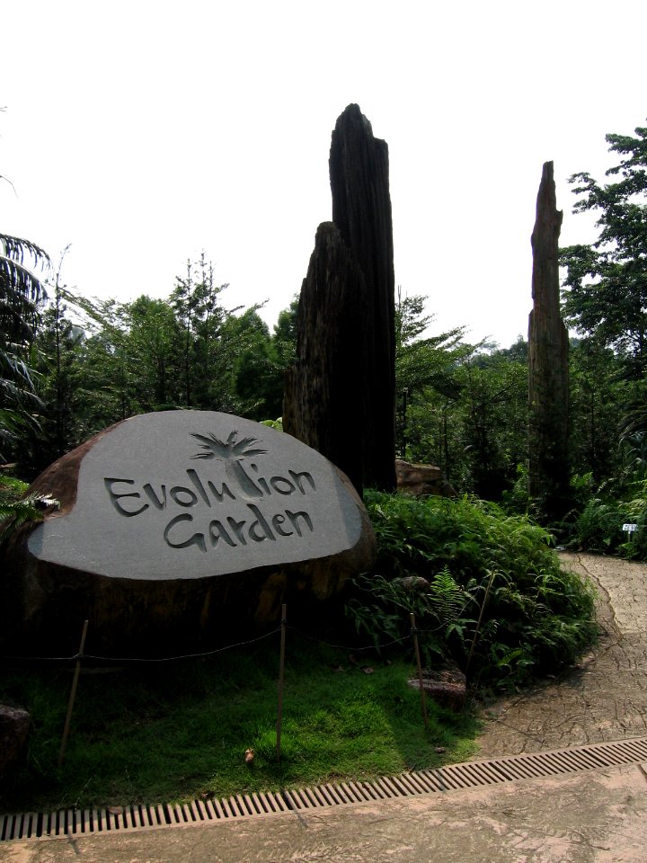 Singapore Botanic Gardens, Evolution Garden 25, Sep 06