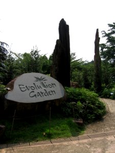 Singapore Botanic Gardens, Evolution Garden 25, Sep 06