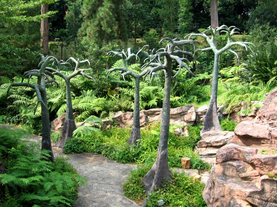 Singapore Botanic Gardens, Evolution Garden 22, Sep 06