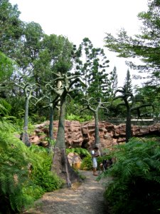 Singapore Botanic Gardens, Evolution Garden 12, Sep 06