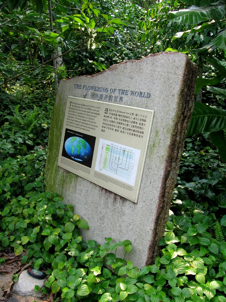Singapore Botanic Gardens, Evolution Garden 6, Sep 06