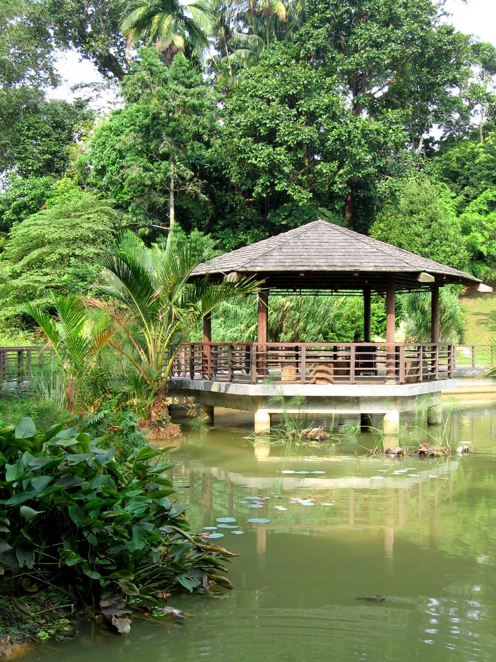 Singapore Botanic Gardens, Symphony Lake 11, Sep 06