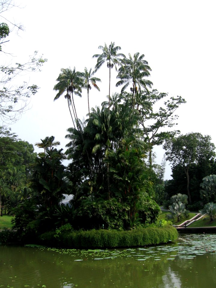 Singapore Botanic Gardens, Symphony Lake 18, Sep 06