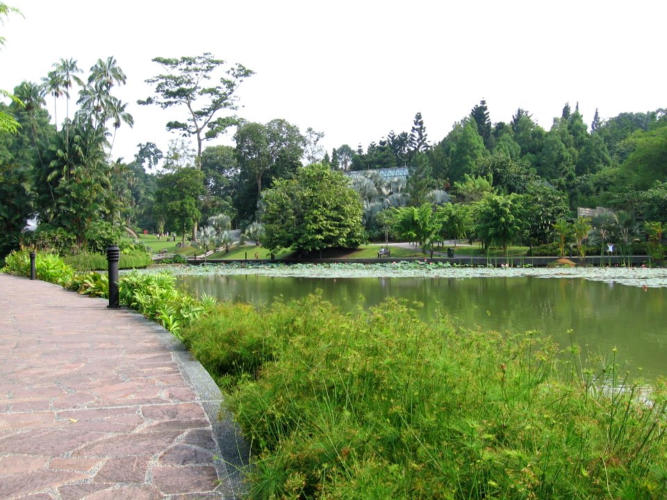 Singapore Botanic Gardens, Symphony Lake 15, Sep 06