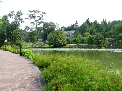 Singapore Botanic Gardens, Symphony Lake 15, Sep 06 photo