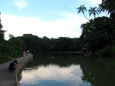 Singapore Botanic Gardens, Swan Lake 3, Jul 06 photo