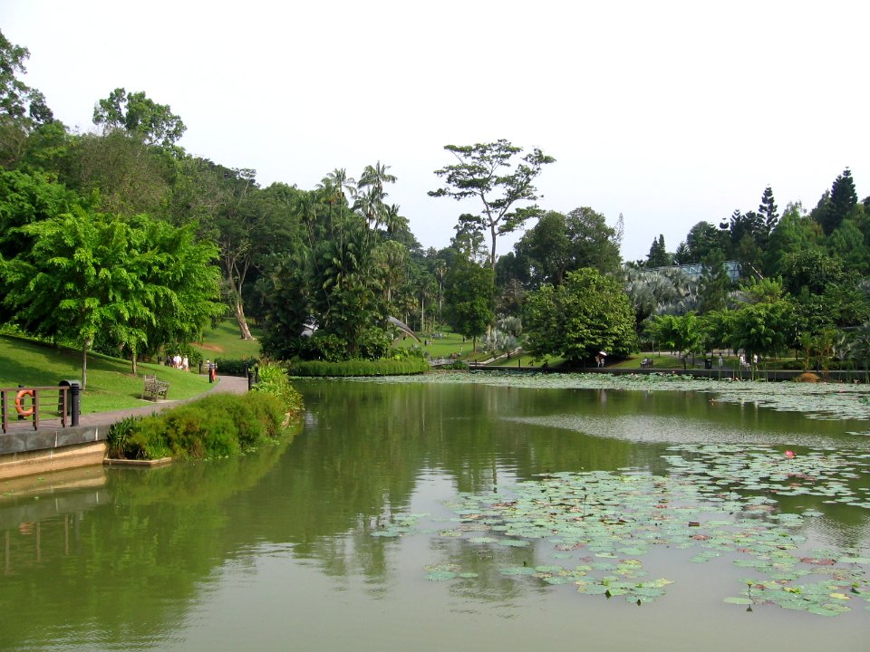 Singapore Botanic Gardens, Symphony Lake 12, Sep 06