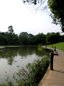 Singapore Botanic Gardens, Symphony Lake, Sep 06 photo