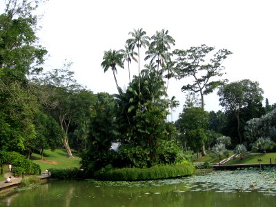 Singapore Botanic Gardens, Symphony Lake 16, Sep 06 photo