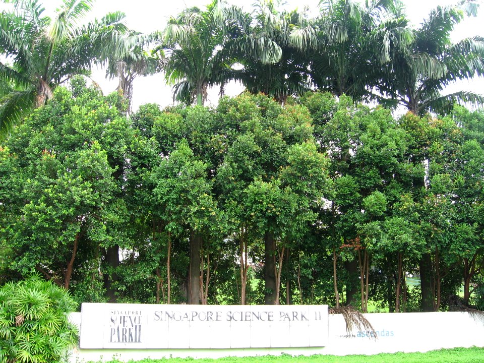 Singapore Science Park II 3, Nov 06