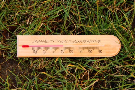 Centigrade seasons of the year lawn