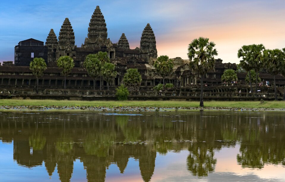 Palm leaves scenery asia