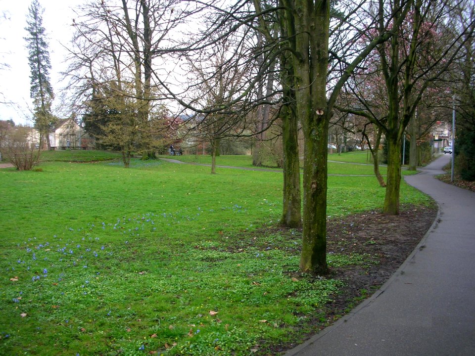 Stadthallenseepark Schorndorf