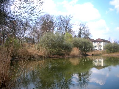 Stadthallensee Schorndorf