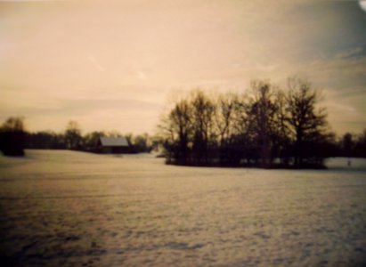Stauden1