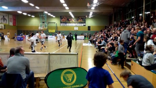 Steinberghalle Wedel Tribüne