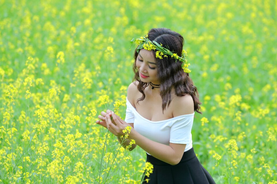 Yellow flower reform asia