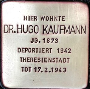 Stolperstein Dr. Hugo Kaufmann