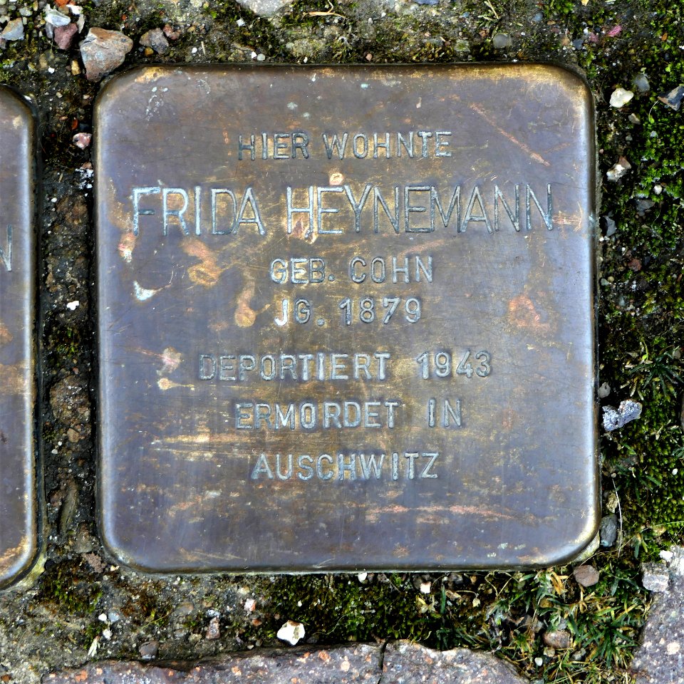 Stolperstein für Frida Heynemann, Obermarkt 14, Döbeln