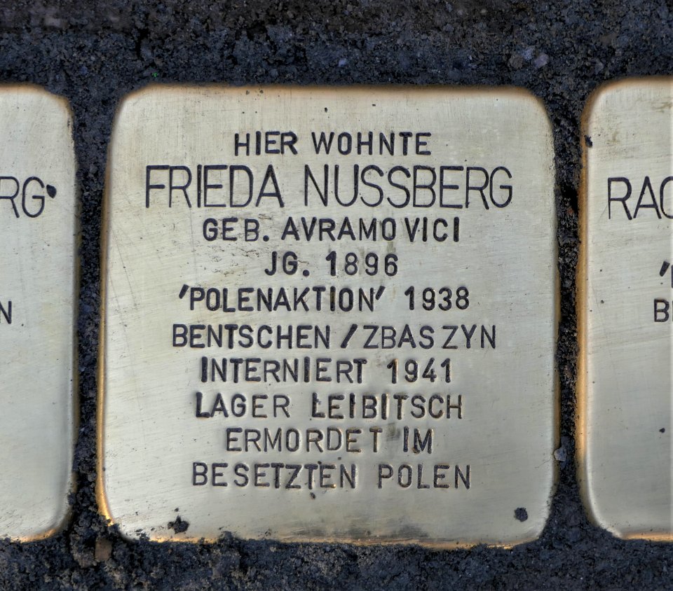 Stolperstein für Frieda Nussberg, Barbarossastraße 55, Chemnitz