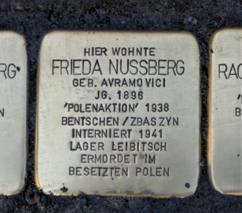 Stolperstein für Frieda Nussberg, Barbarossastraße 55, Chemnitz