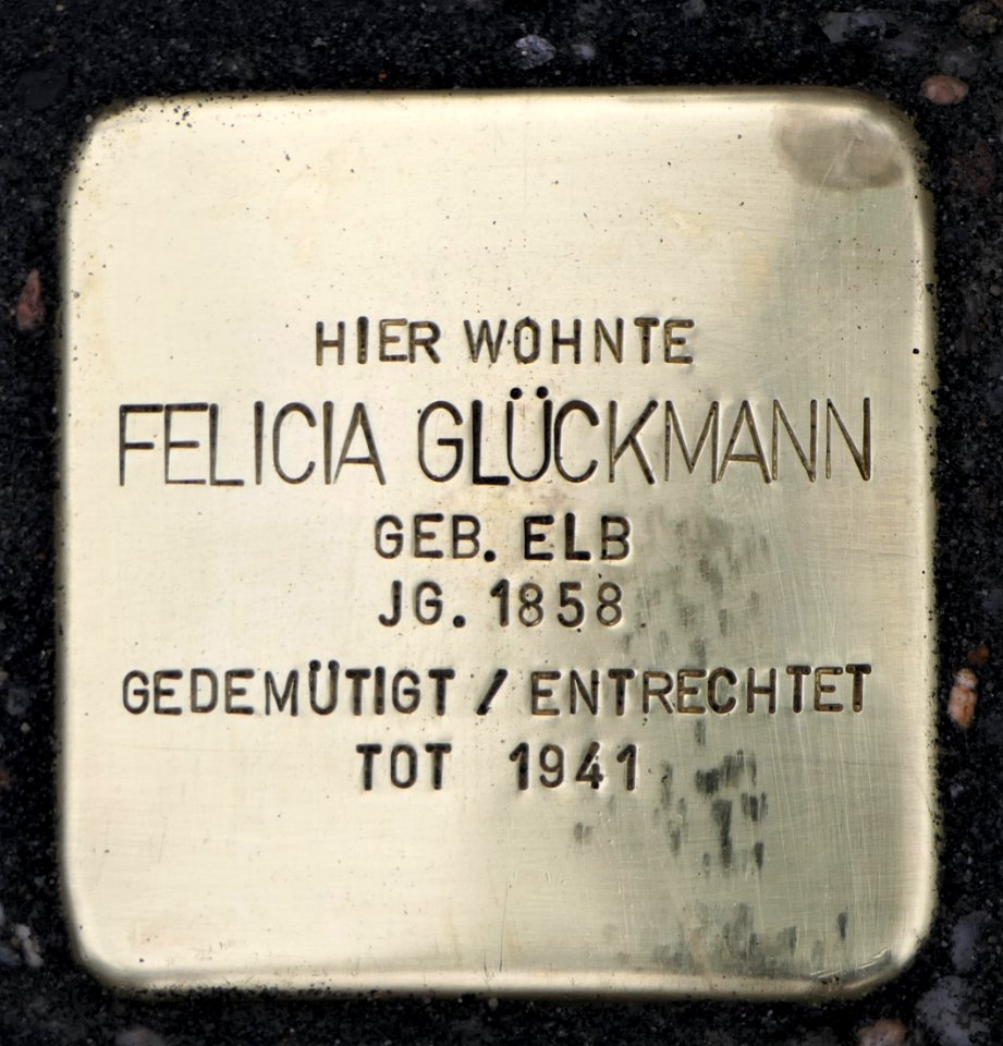 Stolperstein für Felicia Glückmann, Tiergartenstraße 8, Dresden (1)