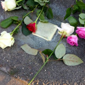 Stolperstein für Gertrud Stern, Geibelstraße 40, Chemnitz (3)