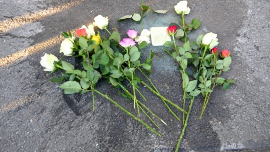 Stolperstein für Gertrud Stern, Geibelstraße 40, Chemnitz (2)