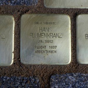 Stolperstein für Hans Blumenkranz, Wallstrasse 9, Dresden