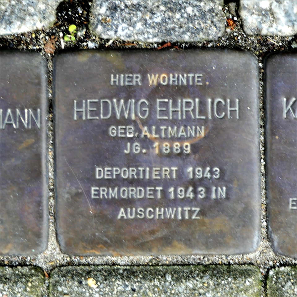 Stolperstein für Hedwig Ehrlich, Dr.-Peter-Jordan-Strasse 3, Bautzen