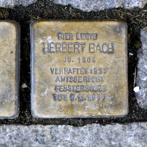 Stolperstein für Herbert Bach, Markt 30-31, Mittweida