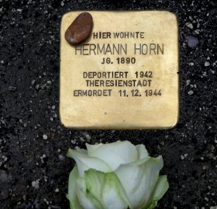 Stolperstein für Hermann Horn, Beckerstraße 11, Chemnitz (2)
