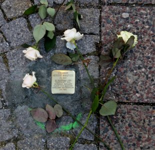 Stolperstein für Herbert Kaulfuss, Yorckstraße 70, Chemnitz (3)