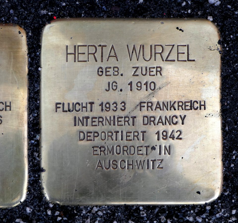 Stolperstein für Herta Wurzel, Sonnenstraße 3, Chemnitz