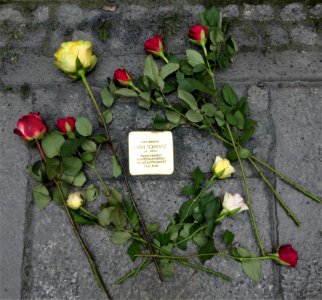 Stolperstein für Iwan Schwarz, Schandauer Straße 22, Dresden (2)