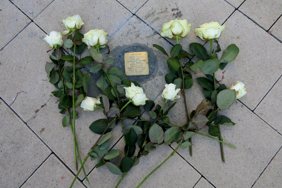 Stolperstein für Jacob Degen, Erich-Mühsam-Straße 18, Chemnitz (3)