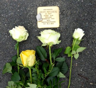 Stolperstein für Julius Nussberg, Zschopauer Straße 55, Chemnitz (1)
