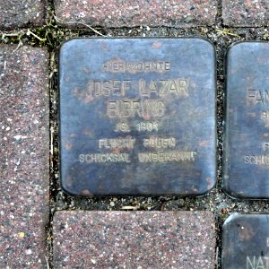 Stolperstein für Josef Lazar Bibring, Goldbornstrasse 22, Roßwein
