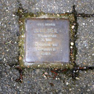 Stolperstein für Julie Weil, Fideliostraße 15, Degerloch, Stuttgart (2)