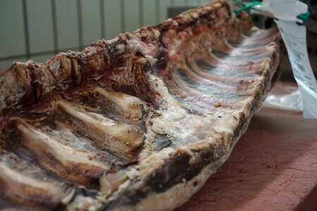 Gourmet delicious cattle