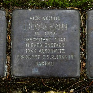 Stolperstein für Ludwig Hann, Weinauallee 30, Zittau
