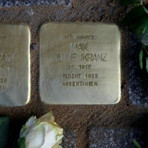 Stolperstein für Max Blumenkranz, Wallstrasse 9, Dresden