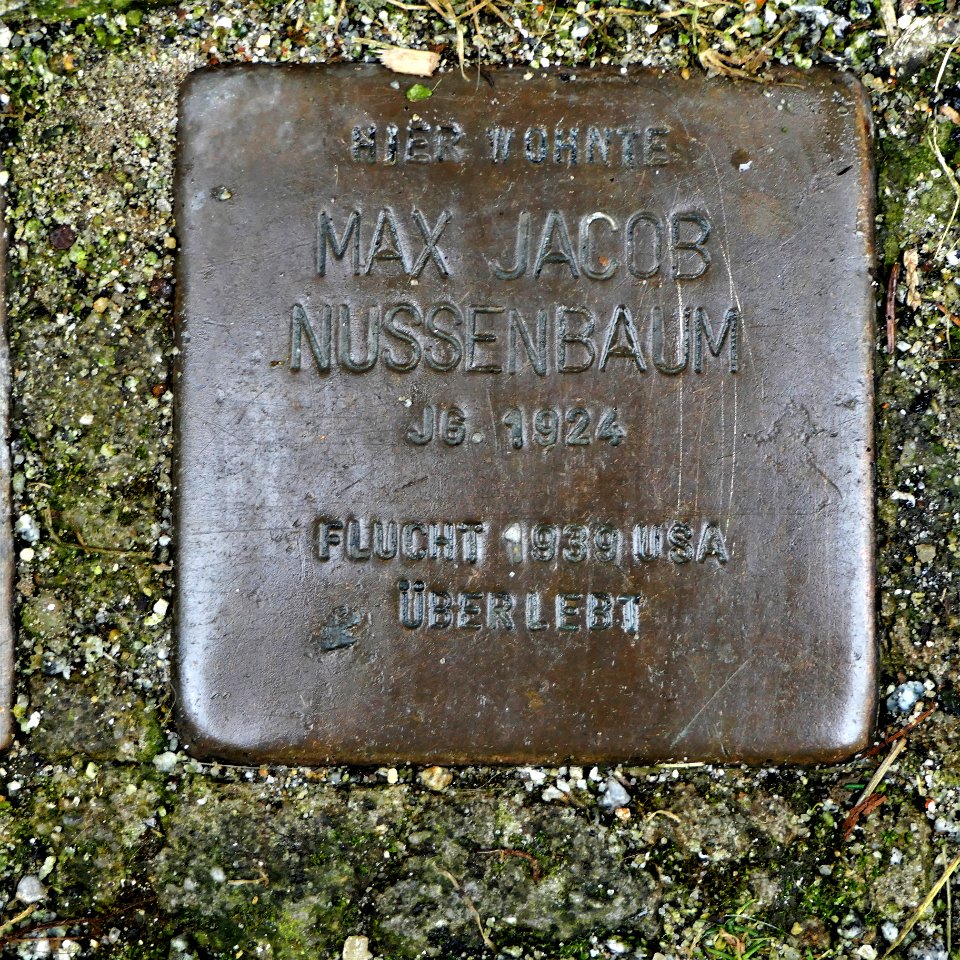 Stolperstein für Max Jacob Nussenbaum, Siebergasse 2, Bautzen