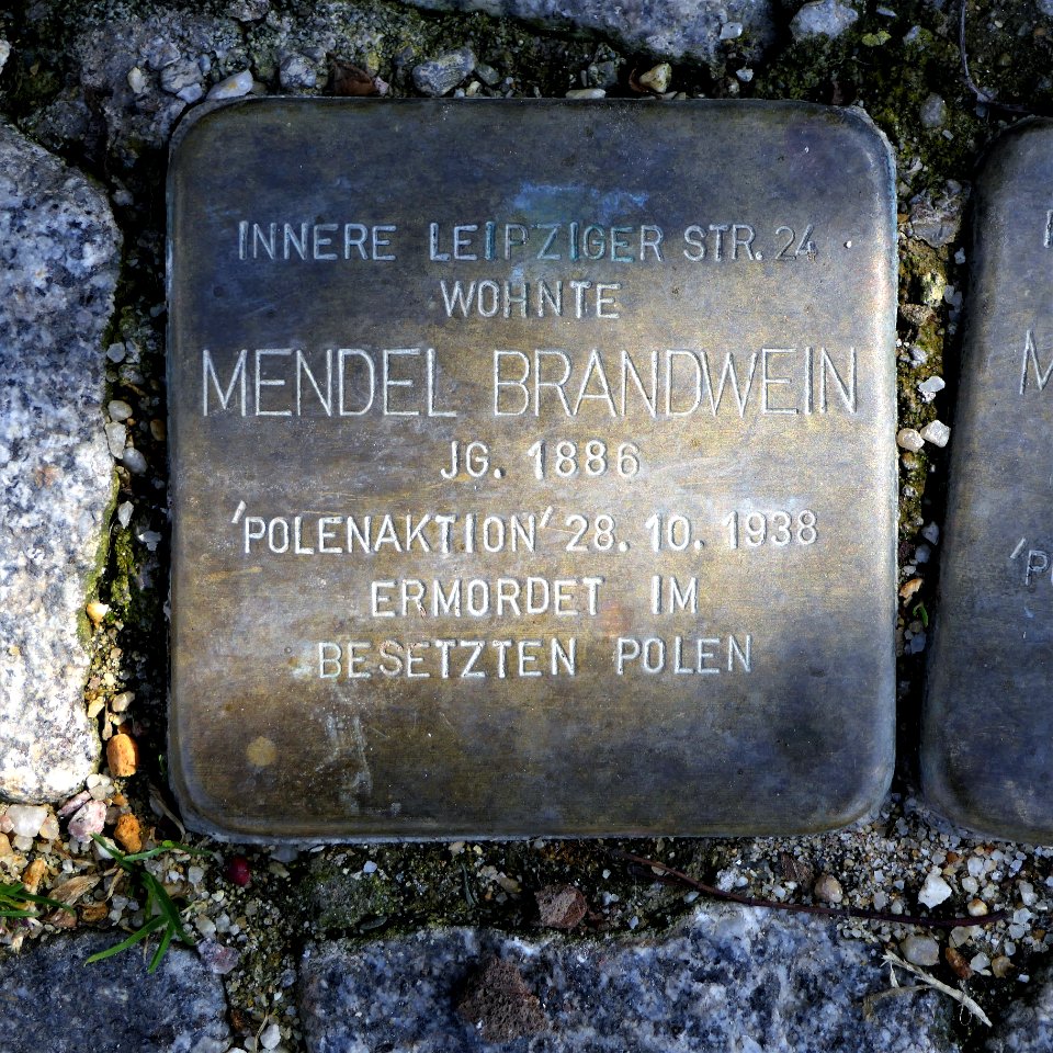 Stolperstein für Mendel Brandwein, Alter Steinweg 16, Zwickau