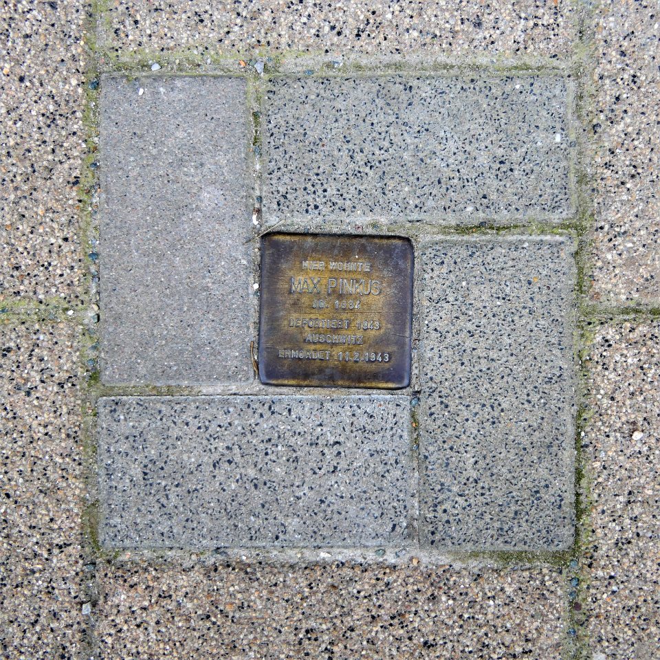 Stolperstein für Max Pinkus, Zöllnerstrasse 6, Chemnitz (2)