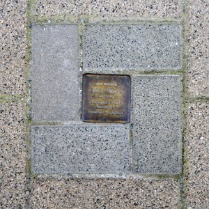 Stolperstein für Max Pinkus, Zöllnerstrasse 6, Chemnitz (2)