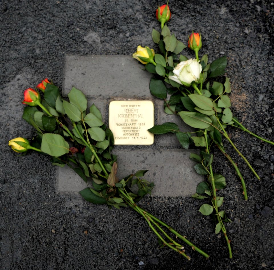 Stolperstein für Robert Kronenthal, Behrischstrasse 7, Dresden (1)