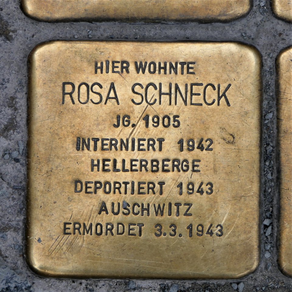 Stolperstein für Rosa Schneck, Seestraße 7, Dresden
