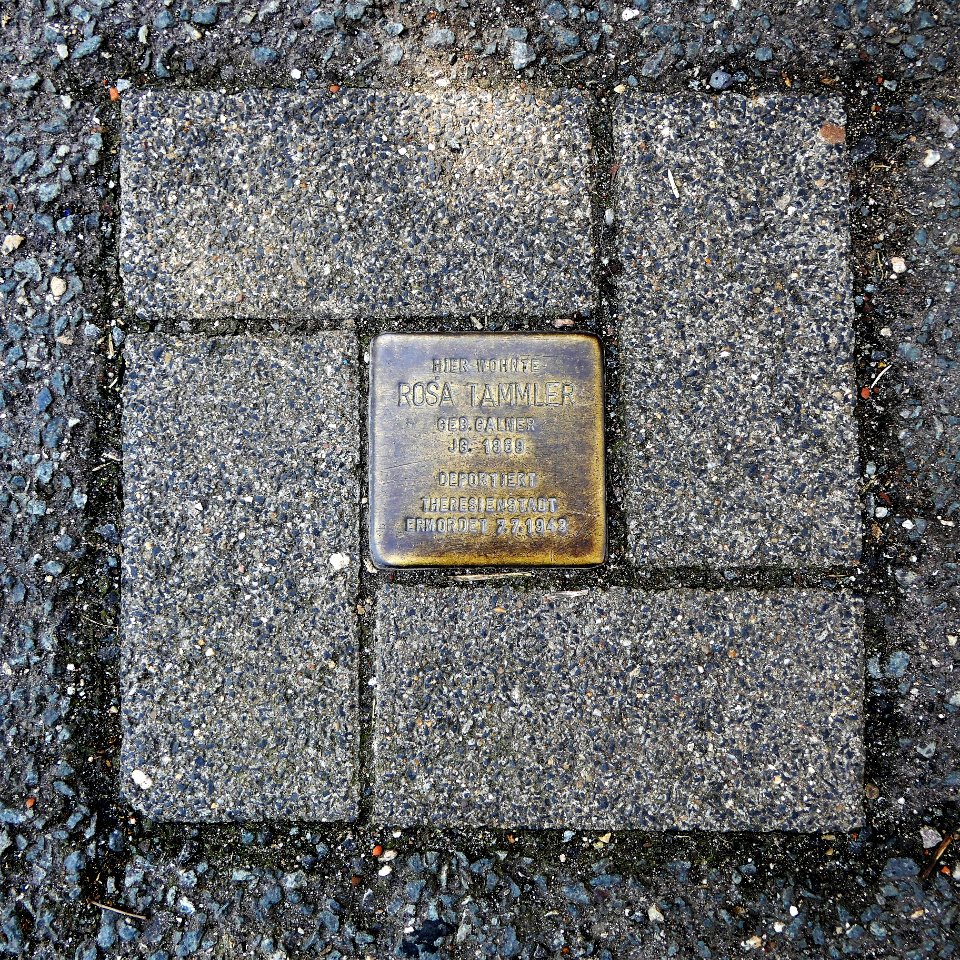 Stolperstein für Rosa Tammler, Walther-Rathenau-Strasse 93, Zwickau (1)